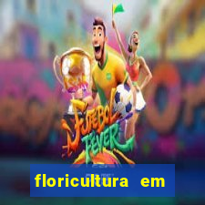 floricultura em lauro de freitas